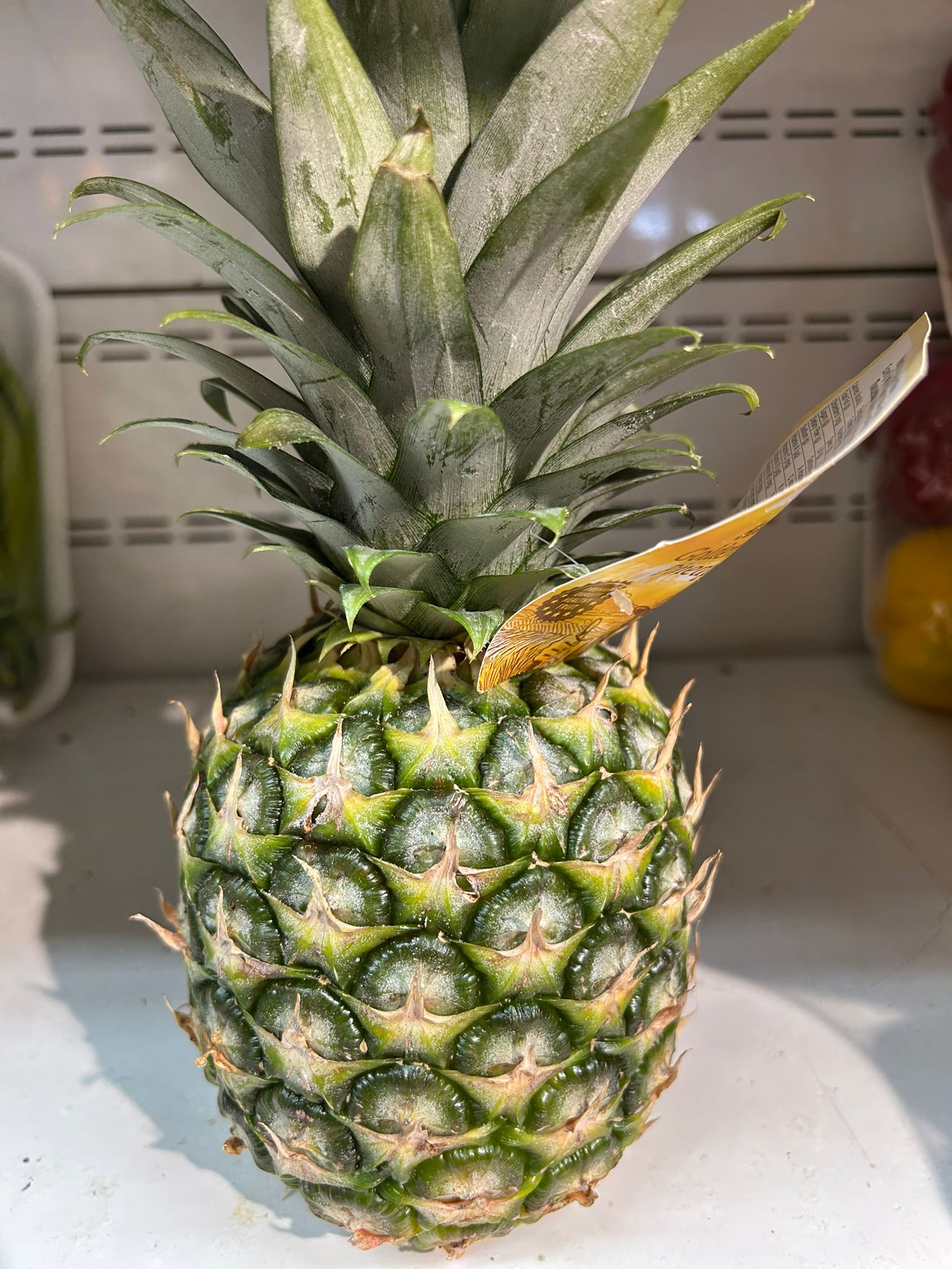 Ananas (adet) - Görsel 5