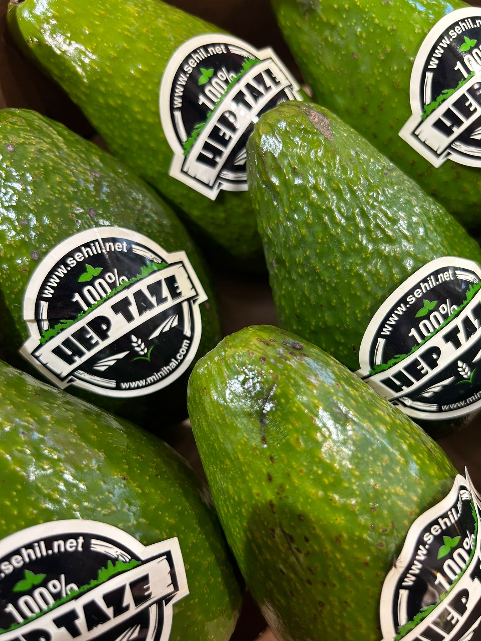 Avokado İri Ortalama 350-400 gr (tane) - Görsel 4