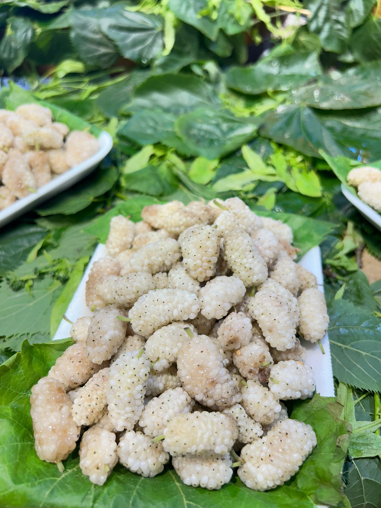 Beyaz Dut (250 gr) - Görsel 2