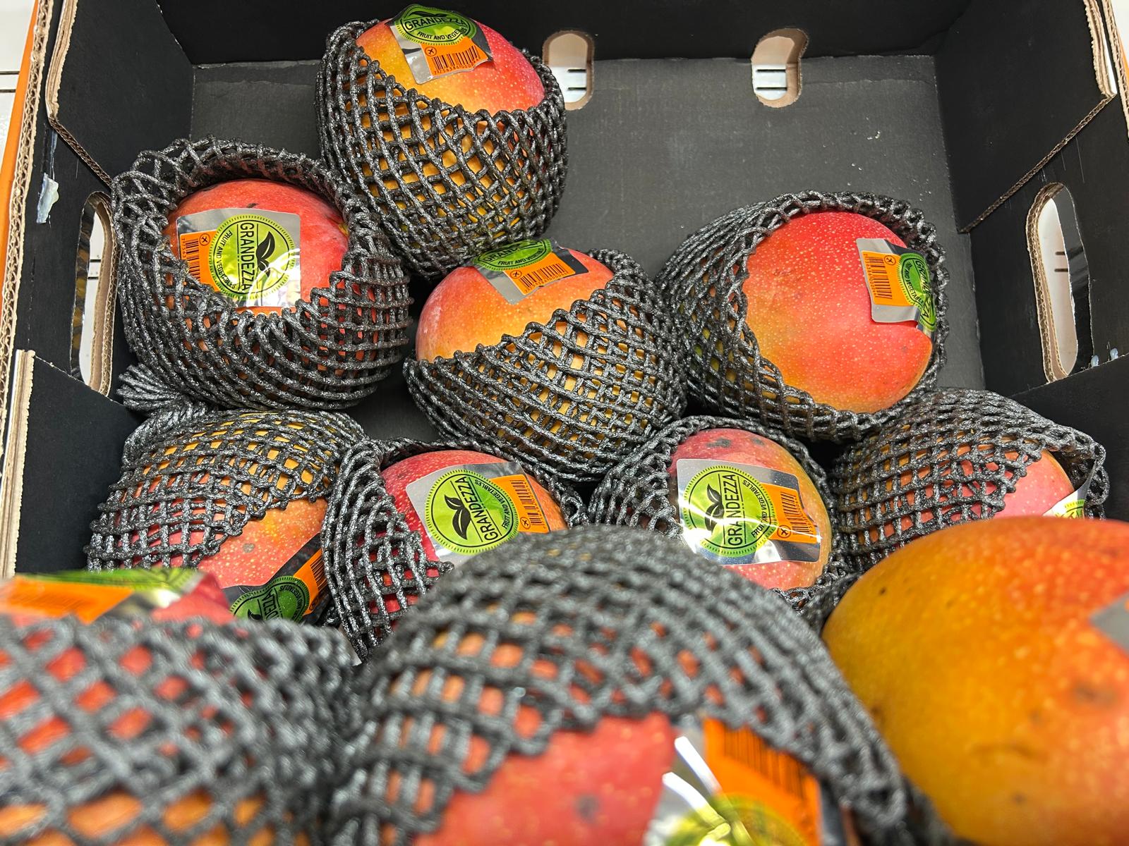 Mango Yerli Gazipaşa İri(adet) - Görsel 3