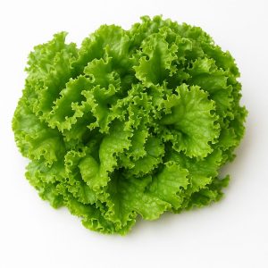 Taze kıvırcık marul