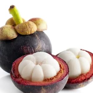 Mangosten 2 Adet Paket