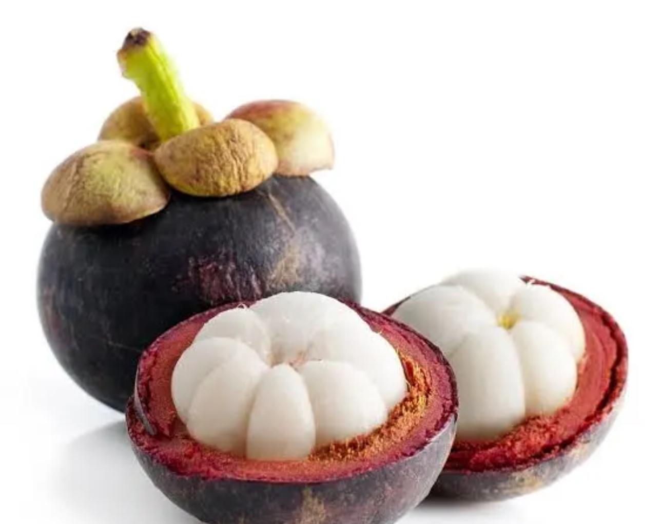 Mangosten 2 Adet Paket
