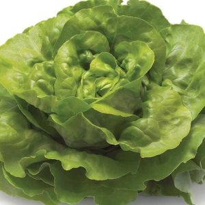 Kop Salata Adet