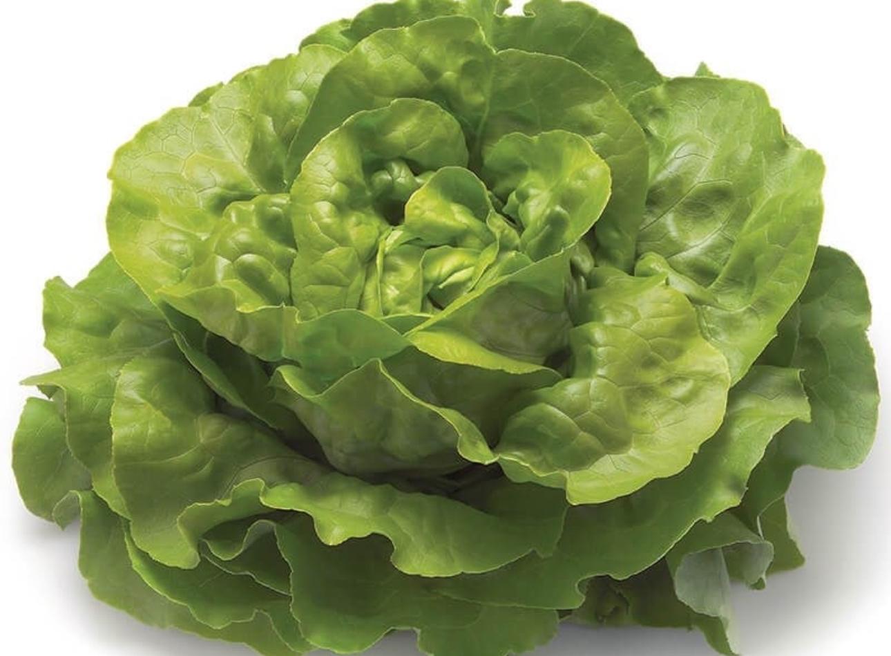Kop Salata Adet